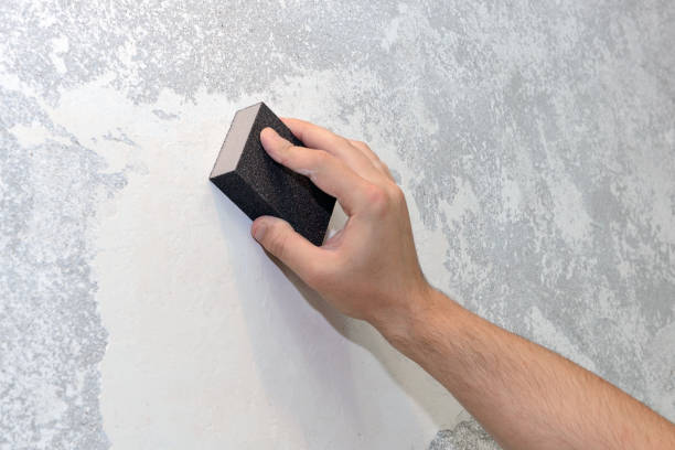 Best Biohazard Mold Removal  in Dwight, IL