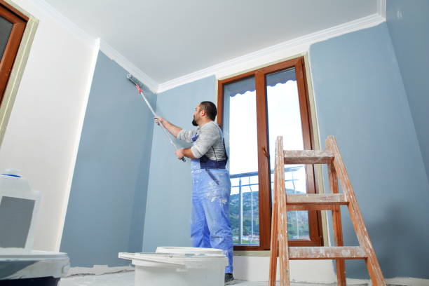 Biohazard Mold Removal in Dwight, IL
