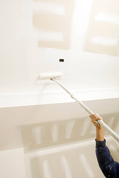 Best Dehumidification Services  in Dwight, IL